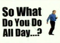 So What Do You Do All Day?